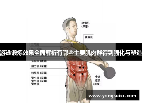 游泳锻炼效果全面解析有哪些主要肌肉群得到强化与塑造